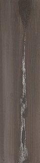 Apavisa 4ever Echo Silver Natural 25x100