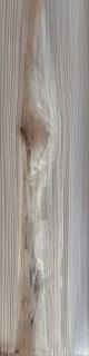 Apavisa 4ever Echo Ash Natural 25x100