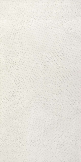 Apavisa Artec 7.0 White Nat 59,55x119,3
