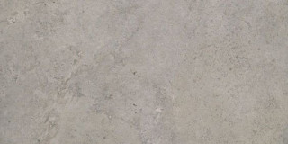 Apavisa Evolution Grey Striato 29,75x59,55