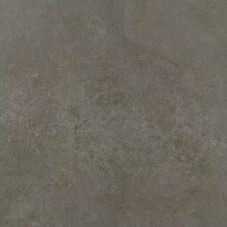 Apavisa Evolution Moss Striato 59,55x59,55