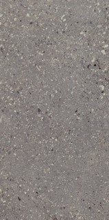Apavisa Wind Moss Solid 2cm 49,75x99,55