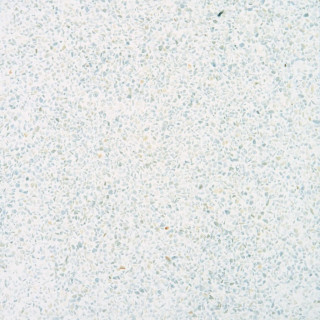 Apavisa Terrazzo White Natural 29,75x29,75