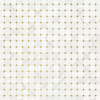 Apavisa Toko Gold Natural 59.55x59.55H1