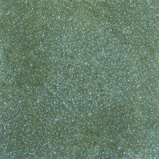 Apavisa Terrazzo Moss Natural 29,75x29,75