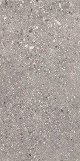 Apavisa Wind Grey Solid 2cm 49,75x99,55