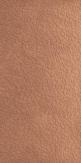 Ape Argillae Nisus Coral Rect 60х120