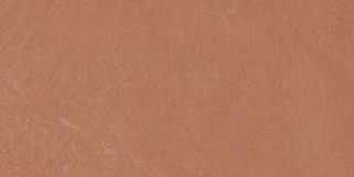 Ape Argillae Coral Rect 30х60