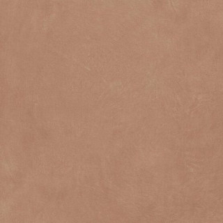 Ape Argillae Gobi Rect 120х120