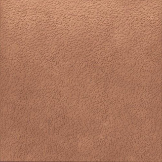 Ape Argillae Nisus Coral Rect 120х120