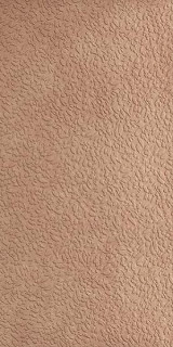 Ape Argillae Nisus Gobi Rect 60х120