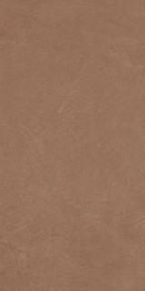 Ape Argillae Terra Rect 60х120