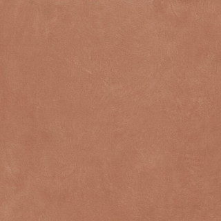 Ape Argillae Coral Rect 120х120