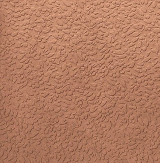 Ape Argillae Nisus Coral Rect 60х60