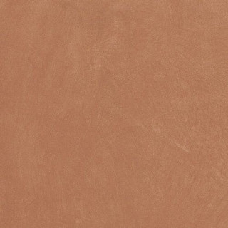Ape Argillae Coral Anti-Slip Rect 60х60