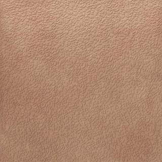 Ape Argillae Nisus Gobi Rect 120х120