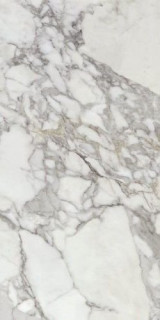 Ape Calacatta Silver Pol. Rect 60x120
