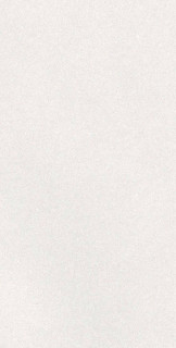 Ape Caprice White Rect 60x120H0.7