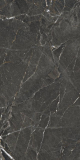 Ape Colemanite Stone Dark Rect 60x120H0.88