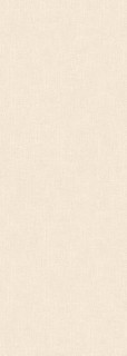 Ape Le Marais Ivory 25х70