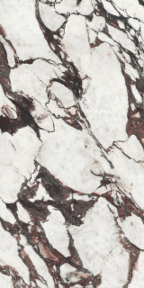 Ape Medicea Marble Pol Rect 60x120H0.92