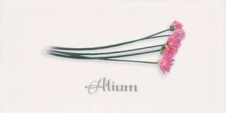 Ape Metro Decor Blanco Alium 10х20