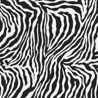 Ape Moonlight Zebra Polished Rec 75×75