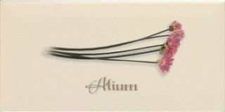 Ape Metro Decor Crema Alium 10х20