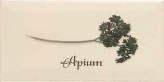 Ape Metro Decor Crema Apium 10х20