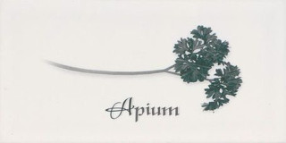 Ape Metro Decor Blanco Apium 10х20
