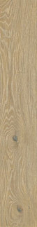Ape Triana Desierto Rect 20x120