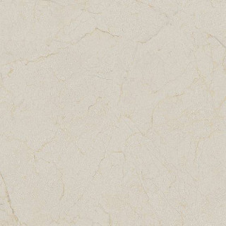 Arcana Ceramica Black&Cream Cream Dune 120x120