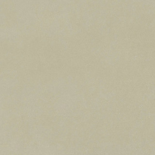 Arcana Ceramica Parallax-R White 80x80