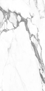 Argenta Altissimo 60x120