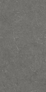 Argenta Bergstein Max Dark Matt Rect 60x120H0.9
