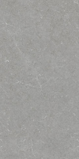 Argenta Bergstein Grey Matt Rect 60x120H0.9