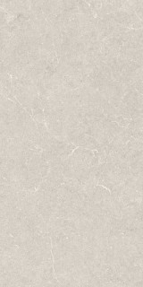 Argenta Bergstein Ivory Matt Rect 60x120H0.9