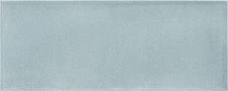 Argenta Camargue Azul 20х50