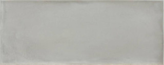Argenta Camargue Gris 20х50