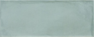 Argenta Camargue Aqua 20х50