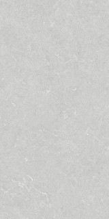 Argenta Bergstein Pearl Matt Rect 60x120H0.9