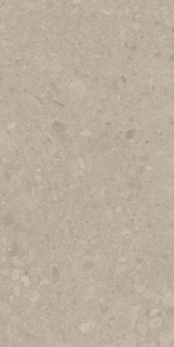 Argenta Flodsten Earth CB UNGL Matt 60x120H0.9