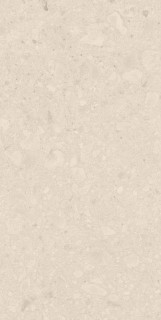 Argenta Flodsten Artic CB UNGL Matt 60x120H0.9