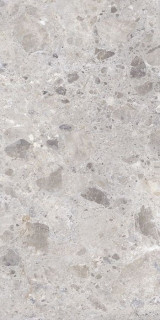 Argenta Petra Grey Matt Rect 60x120