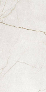Argenta Raffaello Ivory Silk Rect 60x120H0.9