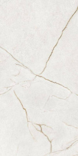 Argenta Raffaello Ivory Polished 60x120H0.9