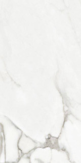 Argenta Venato Natural Matt Rect 60x120H0.9