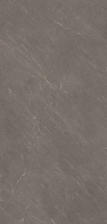 Arklam Avenue Taupe Rect Silk 6 mm 100x300