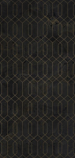 Arklam Jurassic Gold Décor Polished 120x260