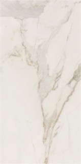 Azteca Calacatta Gold Nat 60x120